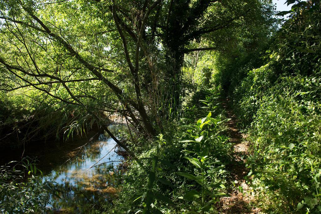 Recanto Da Ribeira Casas De Campo Monchique Eksteriør bilde
